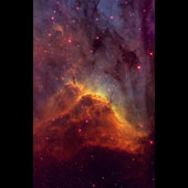 IC 5070 Pelican Nebula 