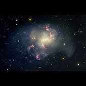 NGC 1313 