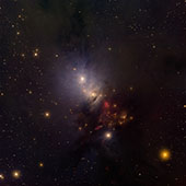 NGC 1333 
