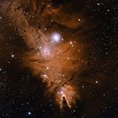 NGC 2264 Christmas Tree 