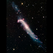 NGC 4656 