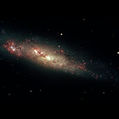 NGC 55 