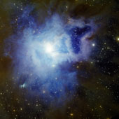 NGC 7023 Iris Nebula 